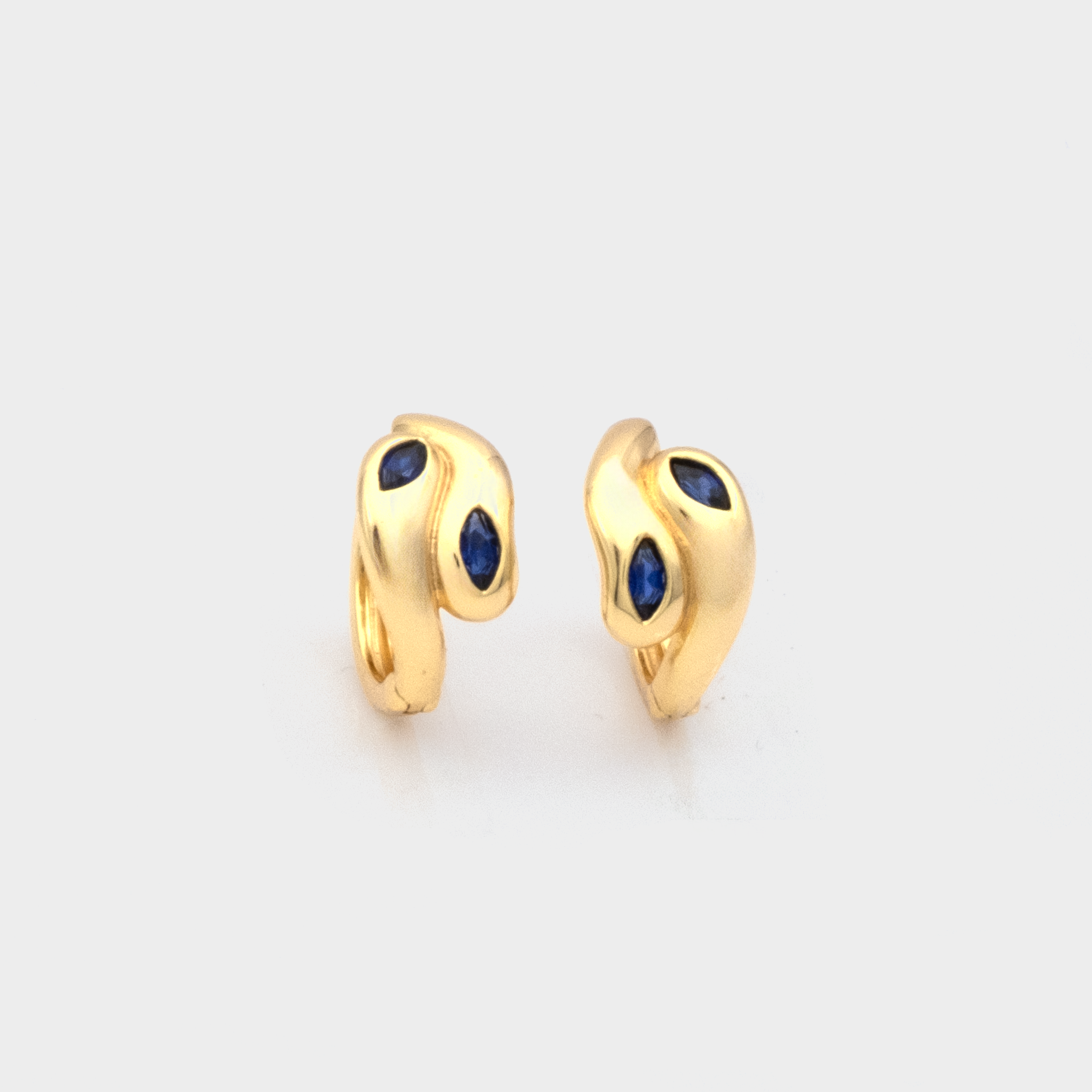 Cosimo Hoop Earrings
