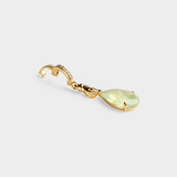 Splendore Charm