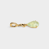 Splendore Charm